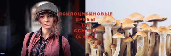 марки nbome Аркадак
