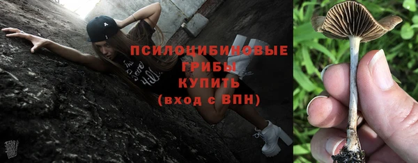 ПСИЛОЦИБИНОВЫЕ ГРИБЫ Армянск