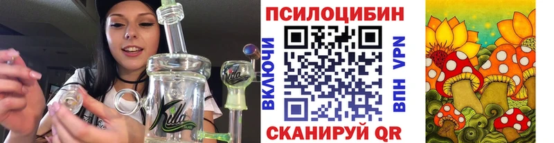 Псилоцибиновые грибы Psilocybine cubensis  Рыбинск 